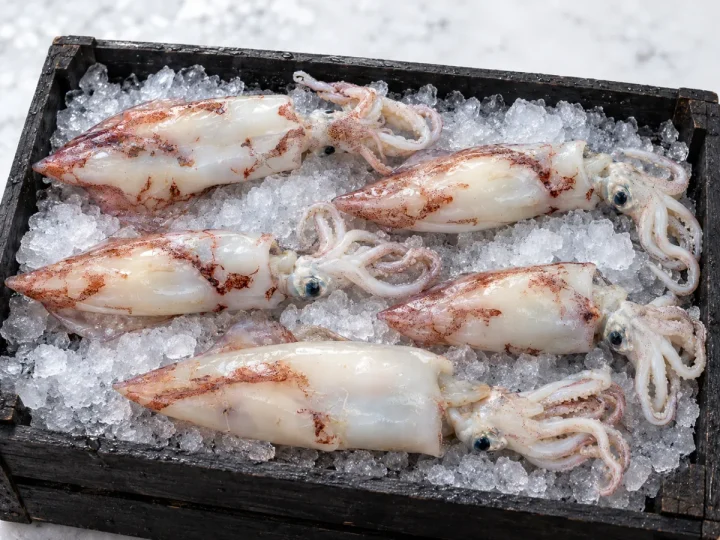 Calamari