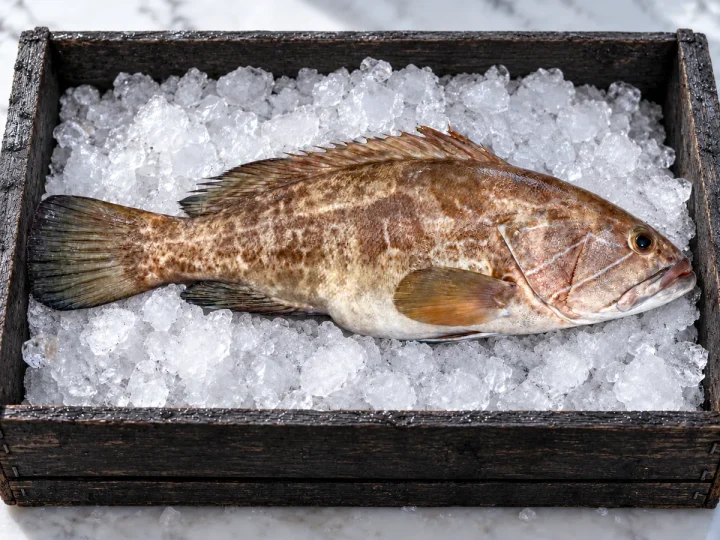 Grouper (cernie)