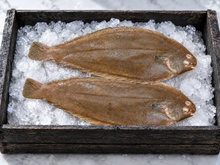 Limbă de mare